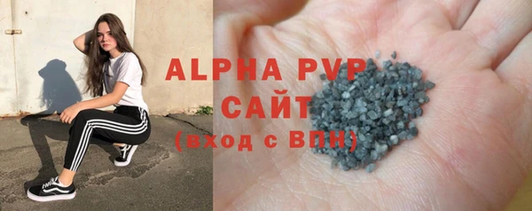 сатива Заводоуковск