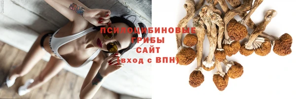 прущая мука Заволжск