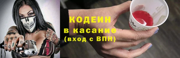 сатива Заводоуковск