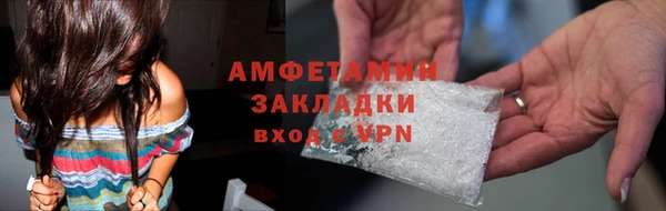 сатива Заводоуковск