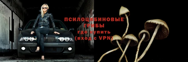 прущая мука Заволжск