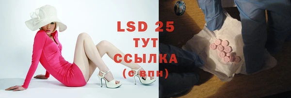 сатива Заводоуковск