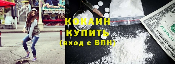 сатива Заводоуковск