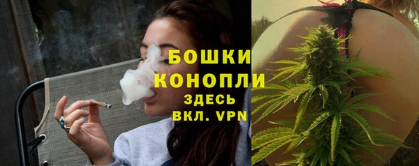 сатива Заводоуковск
