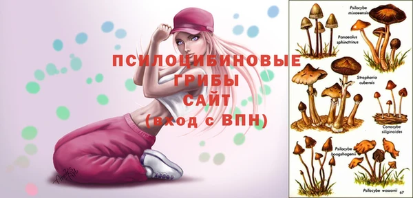 сатива Заводоуковск