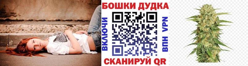 где купить наркоту  Калачинск  гидра   Бошки Шишки White Widow 